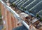 Common problem caused by Clogged Gutters with autumn leaves.  Unclog Gutters and Clean Downspouts