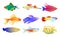 Common and Rare Aquarium Fish Illustration Set