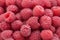 Common raspberries. Fresh ripe red fruits. Close-up