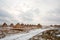 Common reed harvest storing crops in winter season