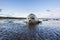 Common Seal, Gewone Zeehond, Phoca vitulina