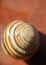 Common snail shell with shadow  - garden snail