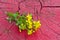 Common St. Johnswort flower ( tutsan ) on red wooden background