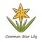 Common star lily yellow color icon. Blooming wildflower. Spring blossom. Toxicoscordion fremontii plant inflorescence