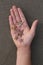 Common Starfish on a child`s hand