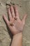 Common Starfish on a child`s hand, The Netherlands