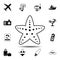 Common starfish or sea star fish marine icon. Simple glyph vector element of Summer icons set for UI and UX, website or mobile