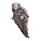 Common swift realistic illustration. Hand drawn watercolor wild bird. Sitting small swift. Swallow bird wildlife avian
