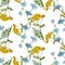 Common tansy Chicory watercolor seamless pattern floral medicinal plant on white illustration