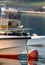 Common Tern perched on boat railing with lobster docks and skiffs on a calm morning in Maine