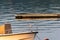 Common Tern perched on boat railing with lobster docks and skiffs on a calm morning in Maine