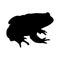 Common Toad Bufo Bufo Silhouette Vector Found In Map Of Europe