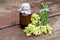 Common toadflax (Linaria vulgaris) and pharmaceutical bottle