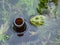 Common water frog (Pelophylax esculentus) in water next to a beer bottle thrown in water. Pollution and