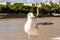 Common white seagull bird sitting on the railing of Thames river promenade in London with green cityscape on the background