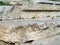 Commoners Seating, Theatre of Dionysus, Athens, Greece