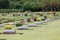 Commonwealth War Graves,Chungkai War Cemetery in Kanchanaburi Thailand