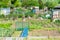 Communal allotments in Suffolk, England.