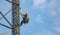 Communication maintenance. Technician climbing on telecom tower against blue sky background