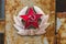 Communist Soviet Badge