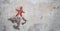 Communistic symbol: Grungy red star graffiti on and old wall