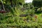 Community allotments in Windsor, Berkshire UK.