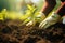 Community Garden Green Initiative Planting Trees and Promoting Local Food Production for Habitat Restoration and a Greener World.