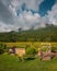 Community garden in Keene Valley, in the Adirondack Mountains, New York