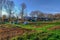 Community garden in winter. Urban allotments with commuter train passing in the background