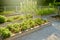 Community kitchen garden. Raised garden beds with plants in vegetable community garden. Lessons of gardening for kids