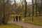 Community of seniors engaged in Nordic walking in the Park