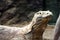 Comodo Dragon