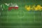 Comoros vs Gabon Soccer Match, national colors, national flags, soccer field, football game, Copy space