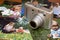 Compact digital camera and photos