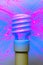 Compact fluorescent energy saving light bulb front