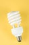 Compact Fluorescent Lightbulb