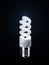 Compact Fluorescent Spiral Tube