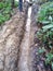 Compacted clay is a simple form of soil canal lining in madhubani india