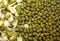 Companion of closeup germinated sprouted mung and dry mung lentils beans texture background image