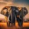 Companionship at Dusk: Two African Elephants in a Sunset Silhouette