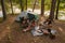 Company of four friends having time together in summer woods