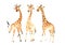 A company of funny and cute giraffes for your amazing projects. Watercolor Clipart Set isolated on white