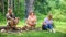 Company hikers at picnic roasting marshmallows snacks. Company friends prepare roasted marshmallows snack nature