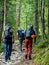 Company of three trekking hikers mountain climbers seen from the back walking through the forest with backpacks climbing helmets