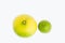 Compare different variety and size of the lemon, lime, local citrus plant fruit white the white background