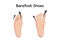 Compare feet before and after barefoot shoes vector illustration.