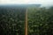 comparison of healthy forest and deforested land side by side