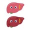 Comparison of healthy liver and fatty live,