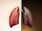 Comparison of lung care