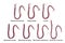 Comparison of microfilariae morphology